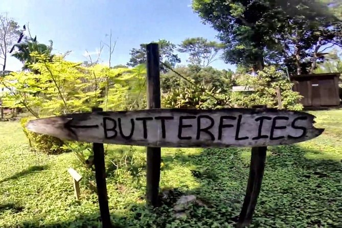 Barton Creek Cave & Butterfly Farm - Cancellation Policy