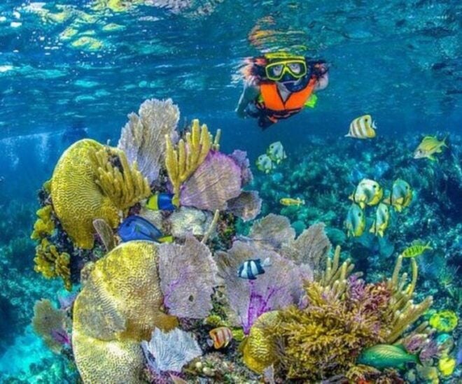 Barú: Club Freedom Beach With Mangrove and Snorkel - Participant Selection and Communication Process