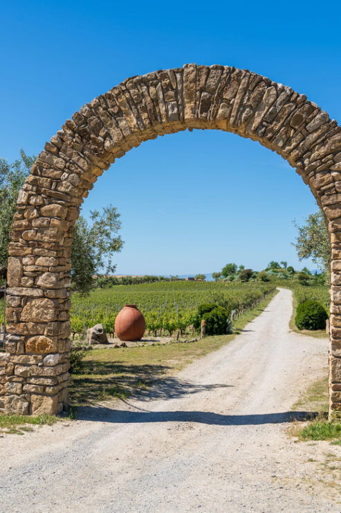 Barumini Su Nuraxi and Wine Tasting - Itinerary and Key Activities