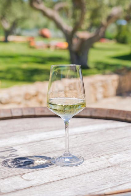 Barumini Su Nuraxi and Wine Tasting - Wine Tasting Details