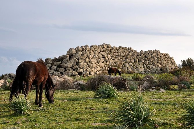 Barumini Unesco Site and Giara of Gesturi Tour From Cagliari - Visiting Barumini UNESCO Site