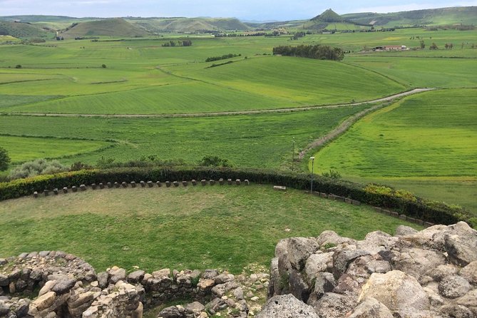 Barumini Unesco Site and Giara of Gesturi Tour From Cagliari - Traveler Reviews and Ratings
