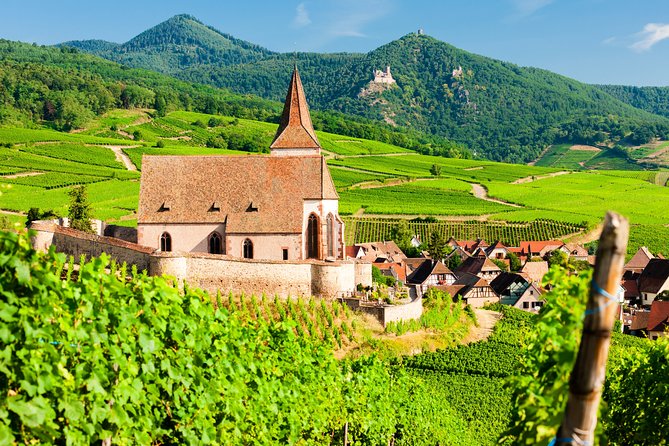 Basel and Alsace Cuisine and Culture Private Tour From Zurich - Reviews and Ratings