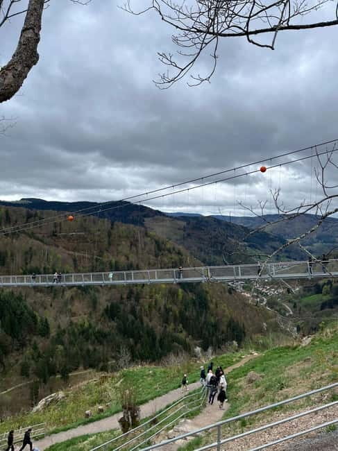 Basel: Black Forest, Waterfall &Mountain, Lakes Private Tour - The Value of This Experience