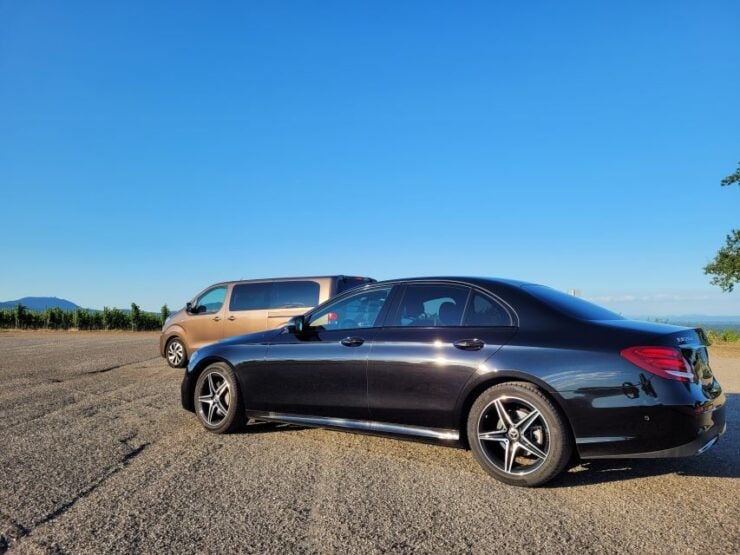 Basel: EuroAirport Basel-Mulhouse-Freiburg Private Transfer - Pickup and Drop-off