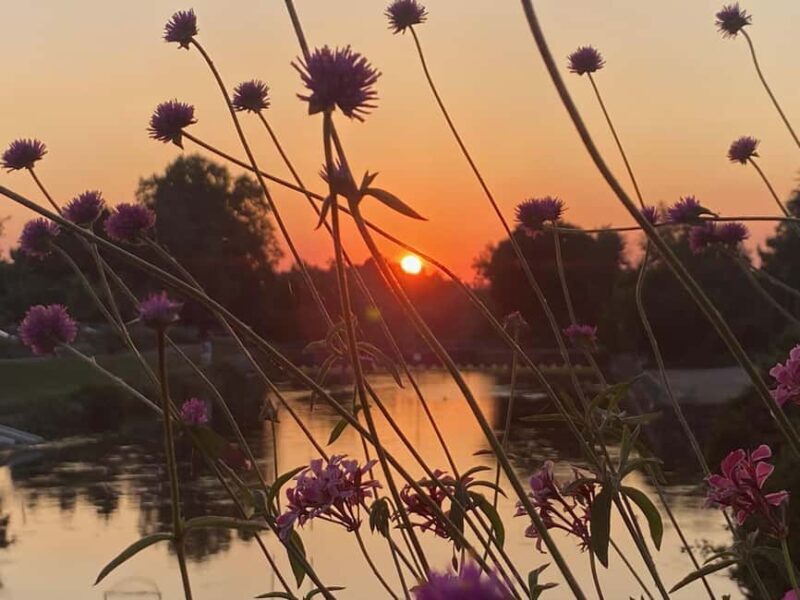 Basel: Fancy a bike tour through 3 countries in 60 minutes? - Good To Know