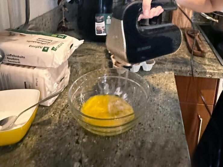 Basel: Italian Cooking Experience: Apero, Lasagna, Tiramisu - Culinary Learning Highlights