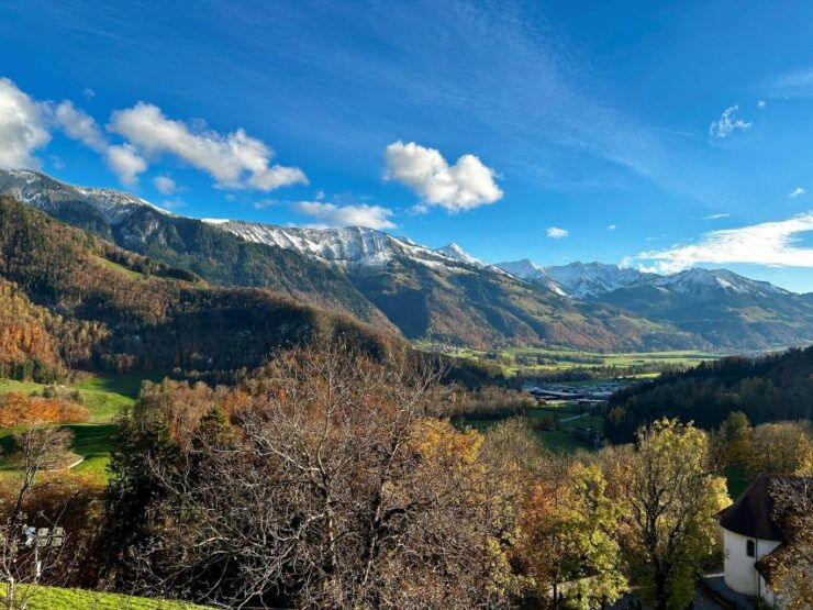 Basel Private Tour: Gruyères, Cheese, & Lavaux UNESCO Wine - Tour Booking Details
