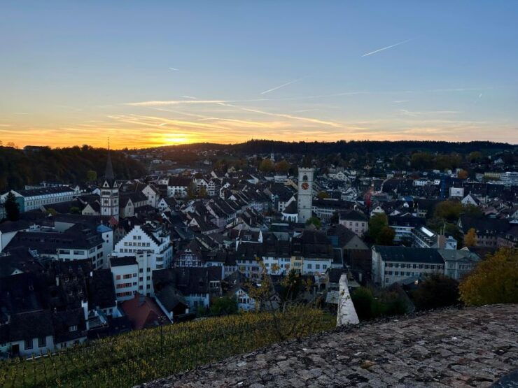 Basel: Schaffhausen & the Rhine's Largest Falls Private Tour - Tour Highlights