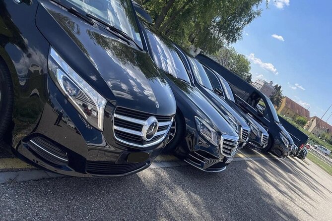 BaselAirport to Lucerne or Lucerne to BaselAirport PrivatTransfer - Cancellation Policy