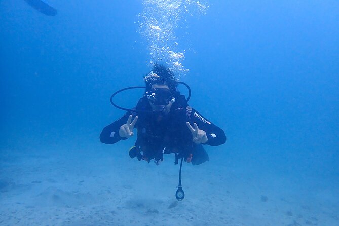 Basic Diver Course for Beginners With 1 Dive in the Ocean - Meeting and Pickup Details