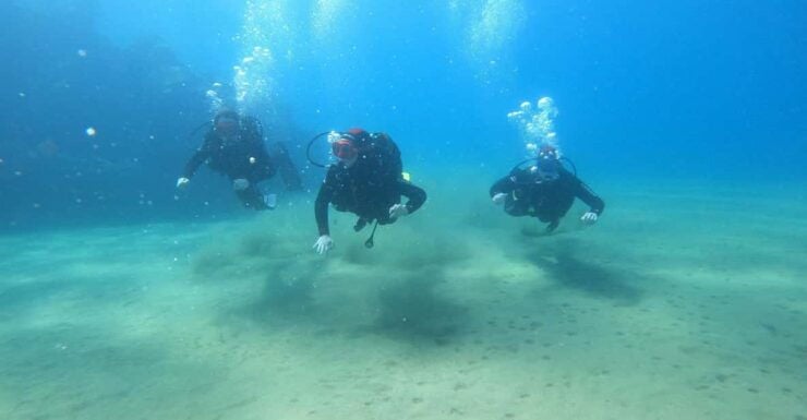 Basic Diver - Experience for Beginners With 2 Dives - Good To Know