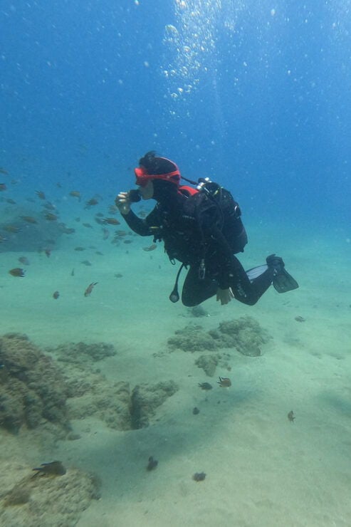 Basic Diver - Experience for Beginners With 2 Dives - Safety and Instruction