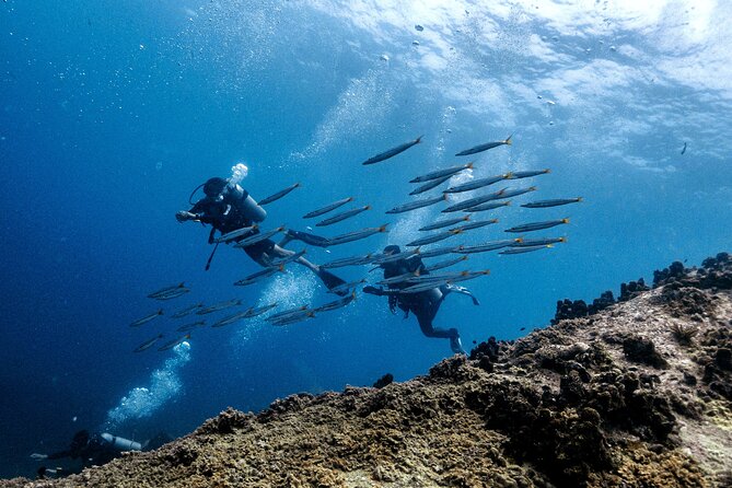 Basic Diver ( One Day Experience) - Additional Info