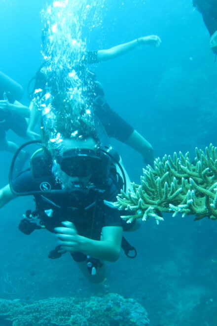 Basic Fun Dive at Menjangan Island - Questions You May Have