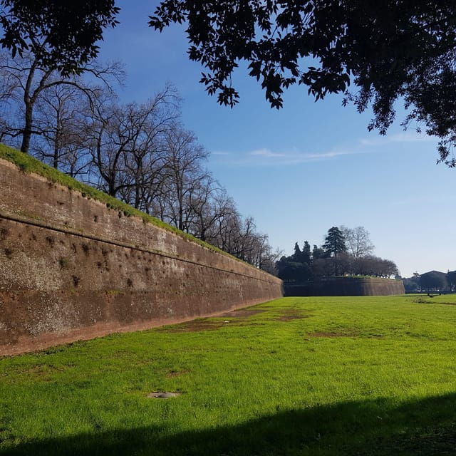 BASIC Lucca: Guided Tour of the Historic Center - Meeting Point Information