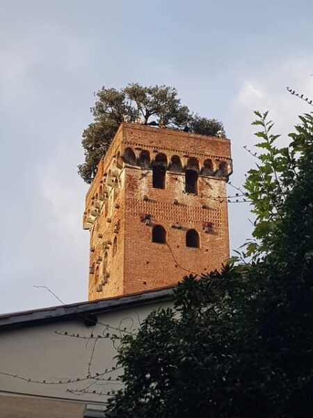 BASIC Lucca: Guided Tour of the Historic Center - Booking and Cancellation Policy