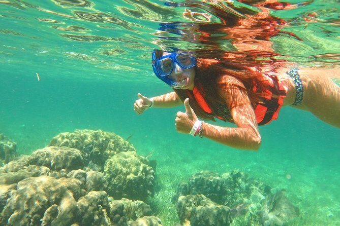 Basic Snorkel Experience In Cancun - An Overview of the Tour Experience