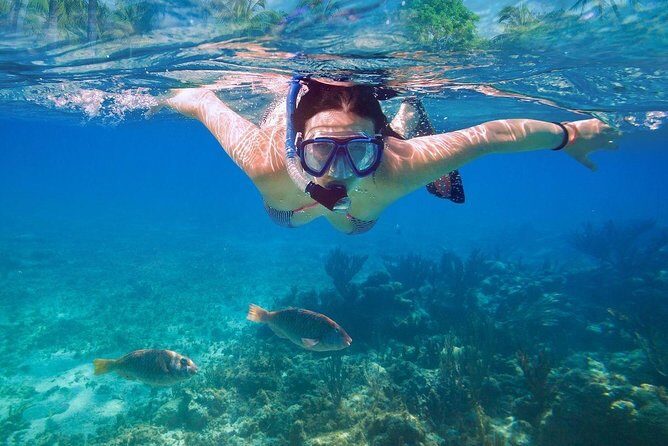 Basic Snorkel Experience In Cancun - Who Should Consider This Tour?