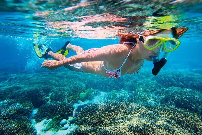 Basic Snorkel Experience In Cancun - FAQ