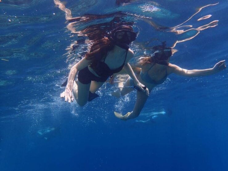 Basic Snorkeling at Menjangan Island - Good To Know