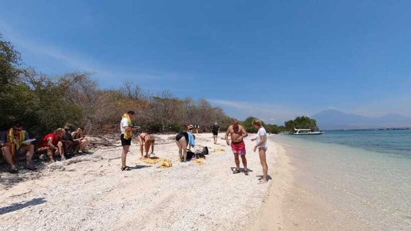 Basic Snorkeling Menjangan Island - Real Experiences and Insights from Reviewers