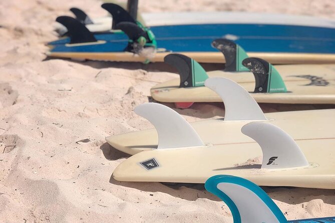 Basic Surf Lessons in Tulum - Common Questions