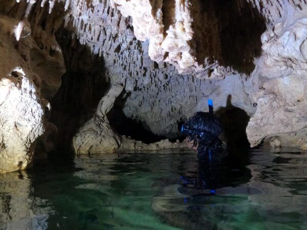 Basic Ticket to Cenotes Casa Tortuga Tulum: AK MAYA - Duration and Schedule