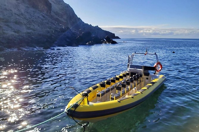 Basic Tour 1 - Shuttle (Quinta Do Lorde to Cais Do Sardinha) (One Way) - Tour Details