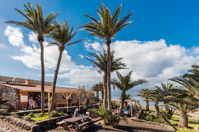 Basic Tour 2 - Quinta Do Lorde to Cais Do Sardinha and Return - Additional Information