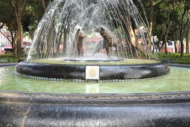 Basilica and Coyoacán Private Tour - Practical Tips and Considerations