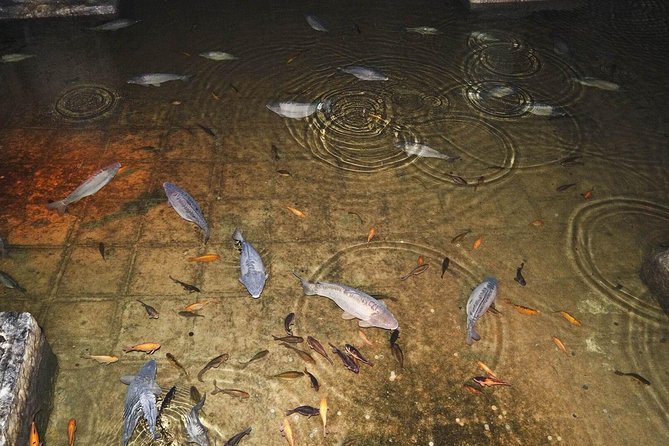 Basilica Cistern Skip the Line Entry With Guide and Highlights Tour - How to Book