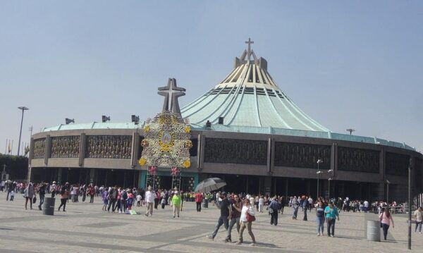 Basilica of Our Lady of Guadalupe: Private Tour + Transport - Customer Testimonials