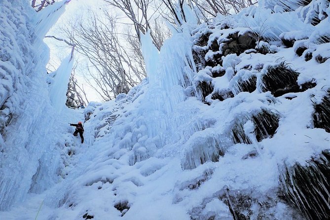 Bask in the Beauty of Winter Nikko in This Unforgettable Ice Climbing Experience - Pricing and Availability for Ice Climbing