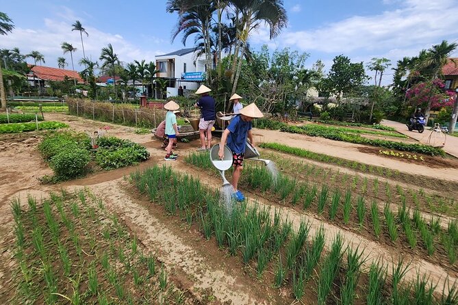 Basket Boat -Buffalo -Small Ethic Group Gallery & Marble Mountain - Directions and Meeting Point