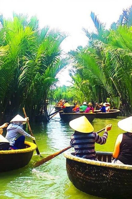 Basket Boat Ride Hoi An - Best Times to Visit
