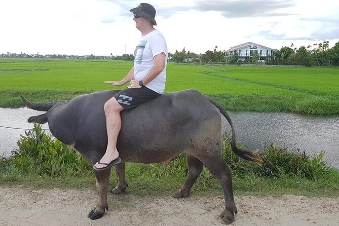 Basket Boat Ride - Vegetable Farming Activities -Pottery Village - Buffalo Ride - Experiencing a Thrilling Buffalo Ride