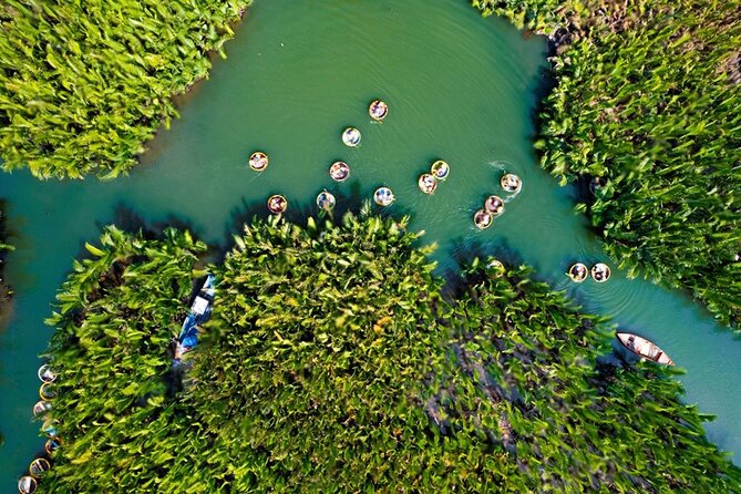 Basket Boat Ride, Water Coconut Forest & Hoi An Town at Night - Exploring the Water Coconut Forest