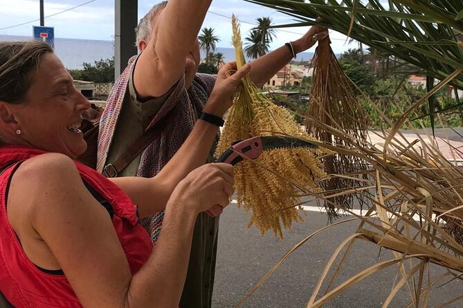 Basket Weaving From Palm Brooms in La Gomera - History of Palm Brooms
