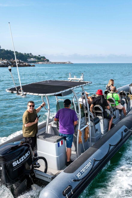 Basque Coast: Maritime Tour Biarritz or San Sebastian by the Sea - Spanish Basque Coast