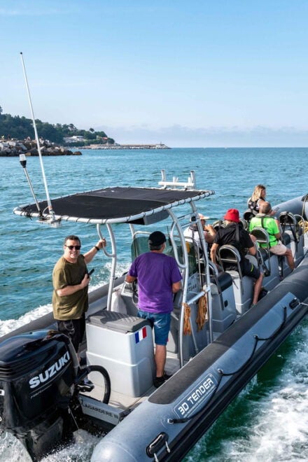 Basque Coast: Maritime Tour Biarritz or San Sebastian by the Sea - Vessel Details