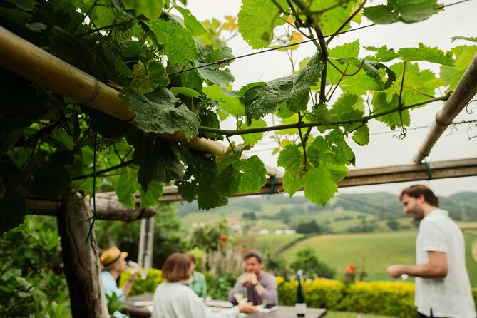 Basque Country Wine and Cheese Tasting Tour From San Sebastián  - San Sebastian - Farm Visit and Cheese Tasting