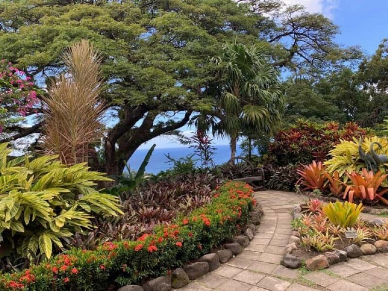 Basseterre: Plantation and Beach Extravaganza - Who Will Love This Tour?