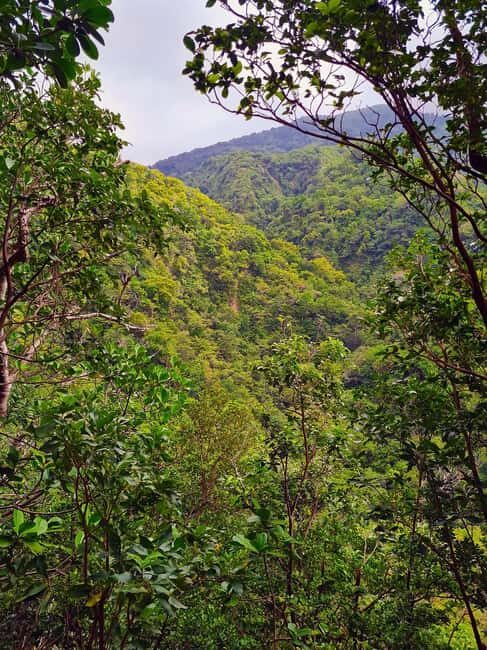 Basseterre Rainforest Hike - The Itinerary in Detail: What to Expect from the Rainforest Hike