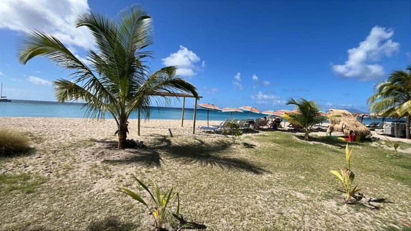 Basseterre: St. Kitts and Nevis Catamaran Tour with Lunch - Final Thoughts