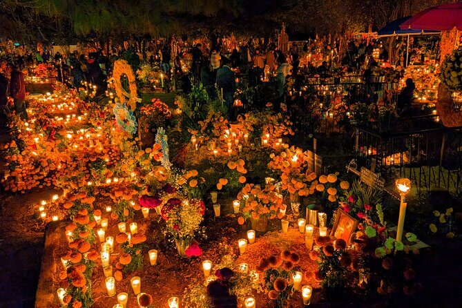 Bastards of Mexico: Unfiltered Tour of the Historic Center - Exploring Mexico City’s Historic Center with a Twist