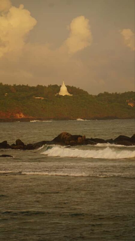 Bat Watching & Cinnamon experience -Koggala - Exploring the Koggala Bat Watching & Cinnamon Tour