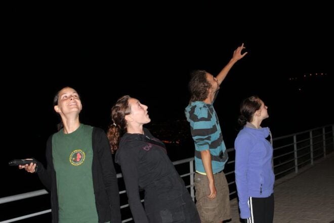 Bat Watching Madeira - Inclusions and Transfers