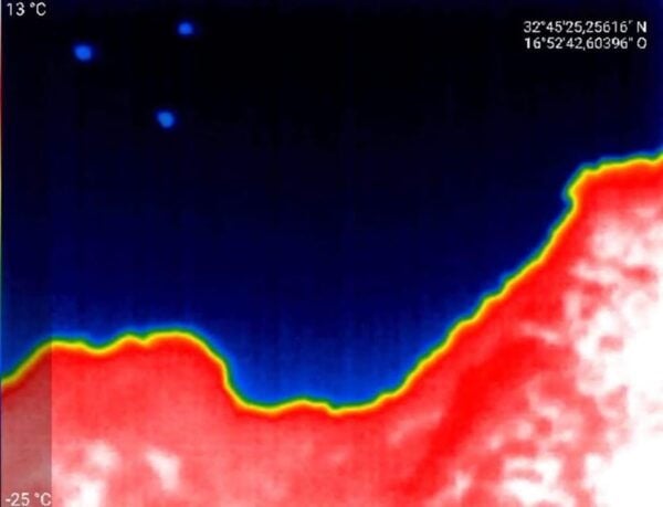 Bat Watching Madeira - Frequently Asked Questions