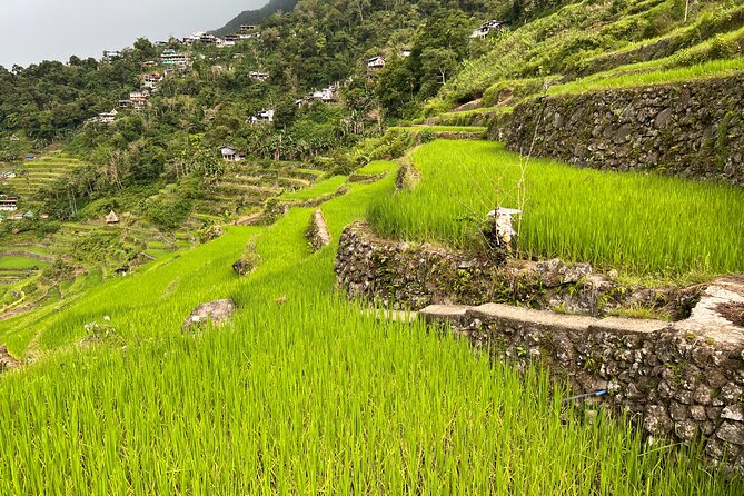 Batad Guided Tour - Itinerary Highlights